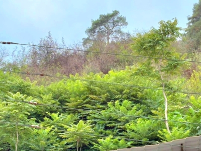 اقتصادی ترین 150 متری سه خوابه در مازندران