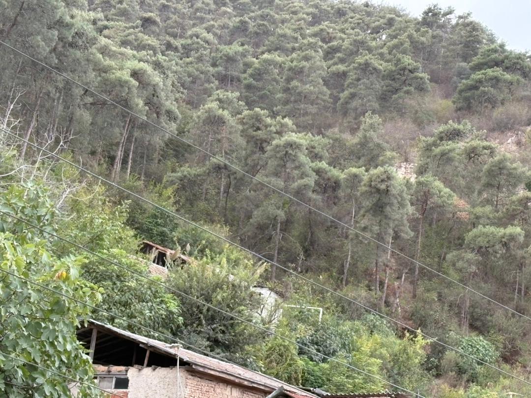 اقتصادی ترین 150 متری سه خوابه در مازندران اقتصادی ترین 150 متری سه خوابه در مازندران